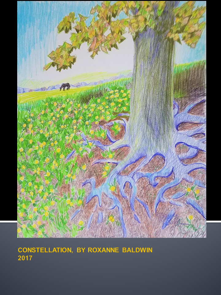 CONSTELLATION, BY ROXANNE BALDWIN