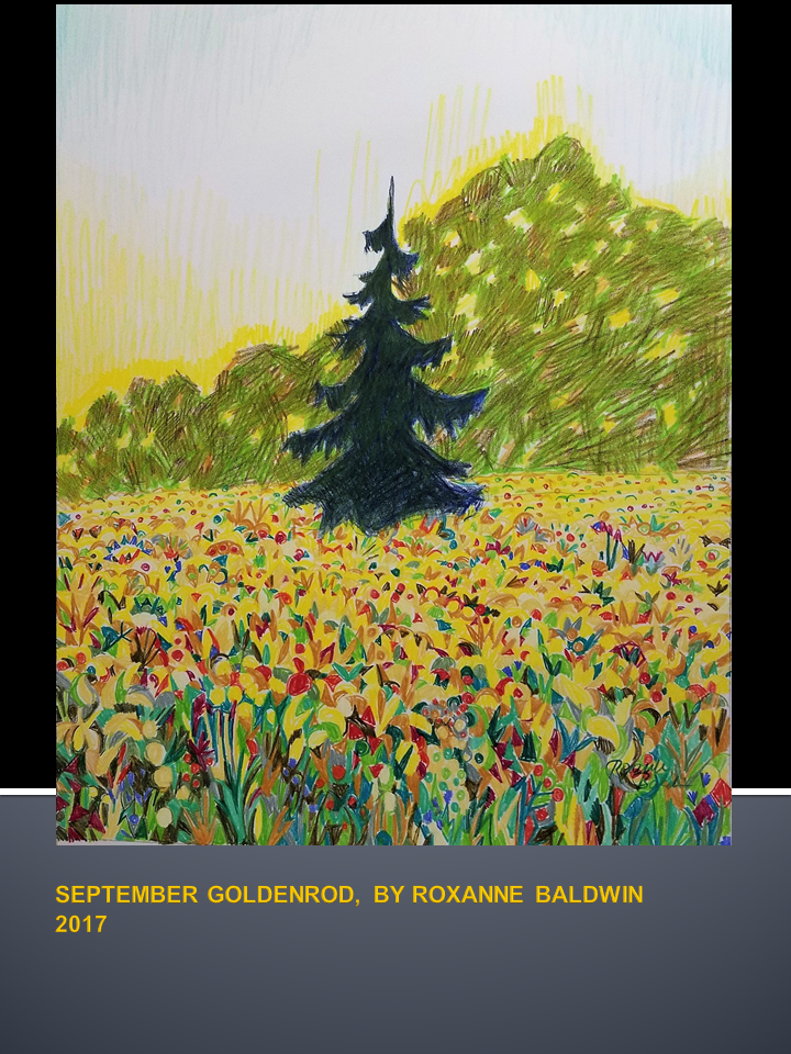 SEPTEMBERGOLDENROD