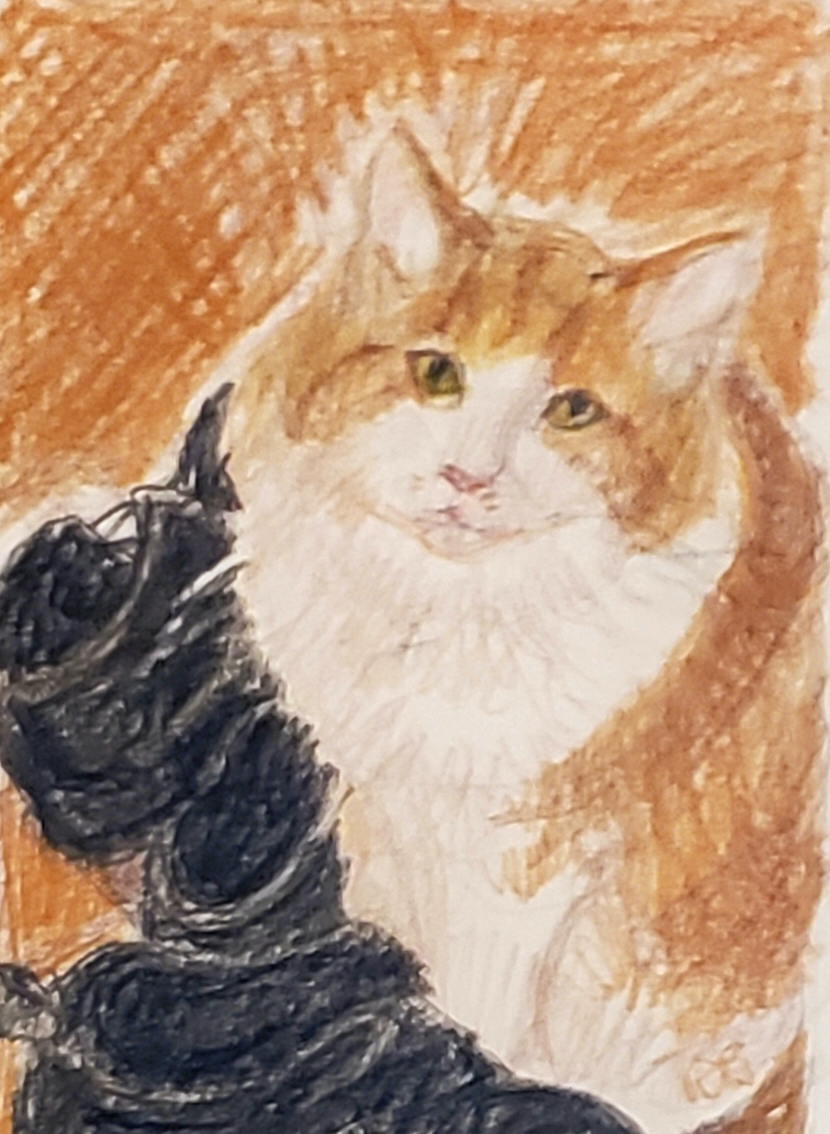 Calm Down, Calm&nbsp;Down