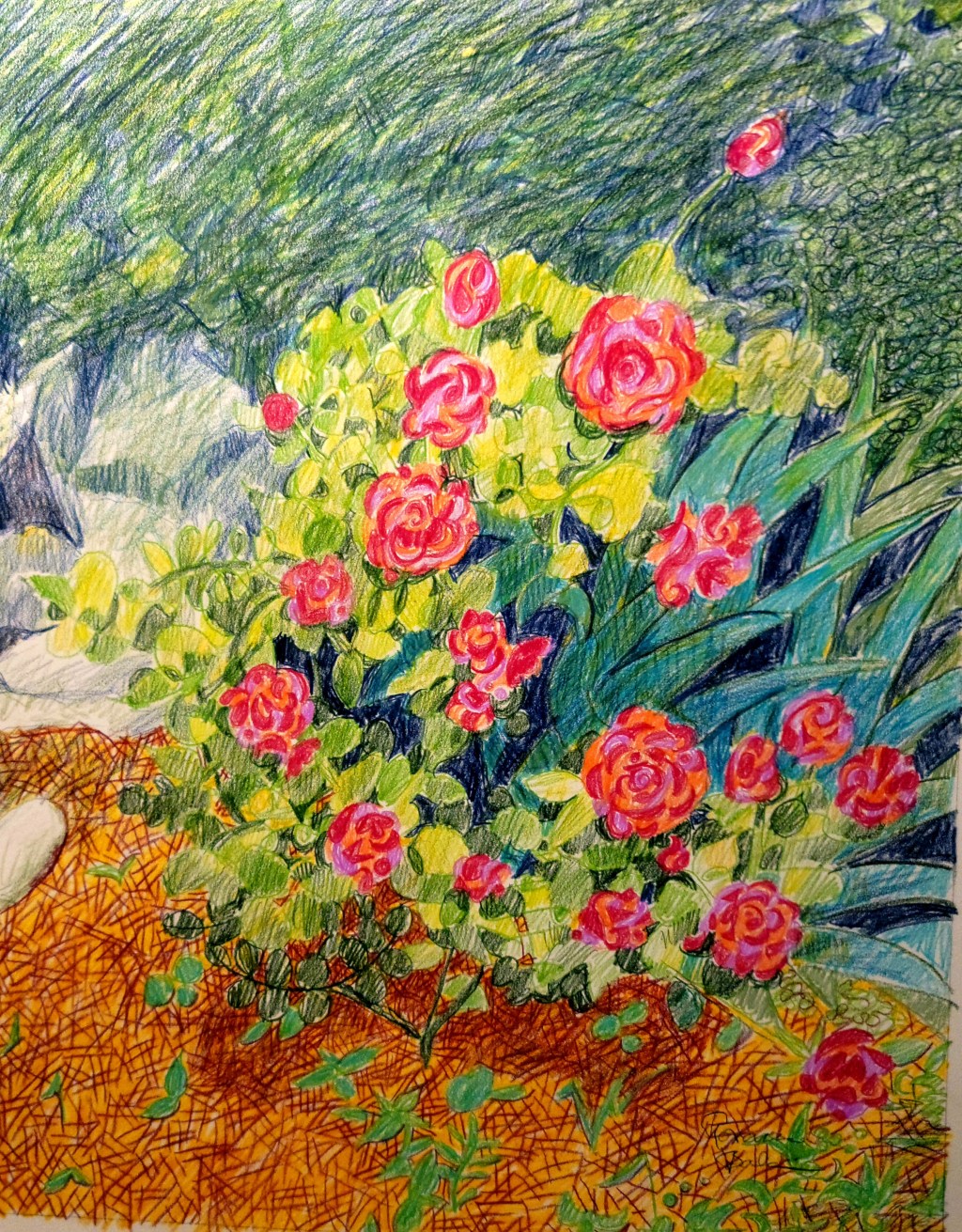 Sometimes, Roses Are&nbsp;Pink